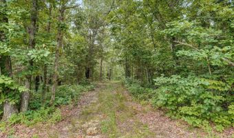 17585 Co Rd #Af-304, Ava, MO 65608