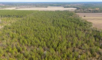 N Bob Brooks Road, Baker, FL 32531