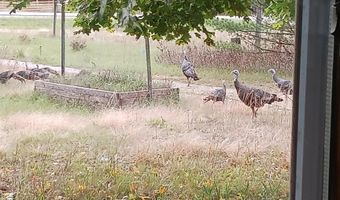 1128 County Road C, Arkdale, WI 54613
