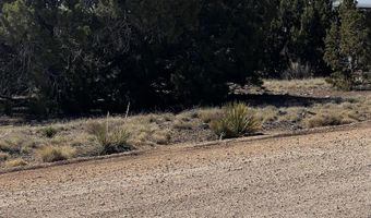 60 SHORT Ln 1, Concho, AZ 85924