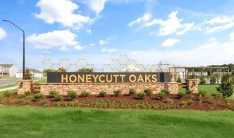 41 Honeycutt Oaks Dr Plan: FREEPORT - TRADITION, Angier, NC 27501