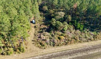 TBD Binnicker Bridge Road, Bamberg, SC 29003