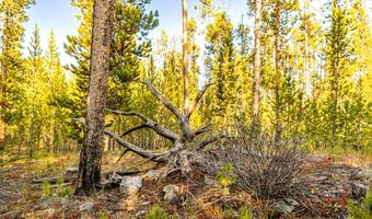 Harris Road lot 6 Tbd, Anaconda, MT 59711
