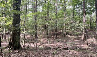 Brock Cir, Brandon, MS 39042