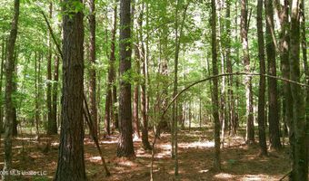 Pleasant Hills Road, Amory, MS 38821