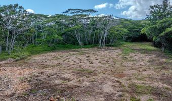 3310 WAWAE Rd, Kalaheo, HI 96741
