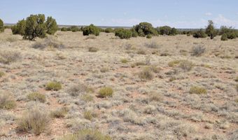 138 Jeff Lake Rd (CR N9230), Concho, AZ 85924