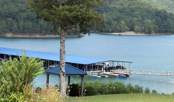 955 Livingston Boat Dock Rd, Allons, TN 38541