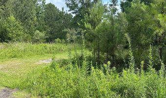 Orange Blossom St lot On, Andrews, SC 29510