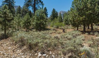 490 Nature's Edge Rd, Gardnerville, NV 89460