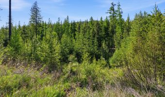 NNA Stone Rd Lot 2 20.0 Acres, Blanchard, ID 83804