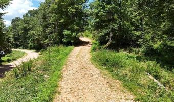 2240 Racetrack Hollow Rd, Anderson, MO 64831