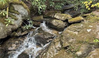 62 Acres Buckeye Ridge Rd, Beech Mountain, NC 28604