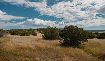 TBD Hwy 246, Capitan, NM 88316