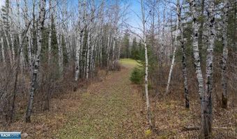TBD Lane 55 County Road 341, Aurora, MN 55705