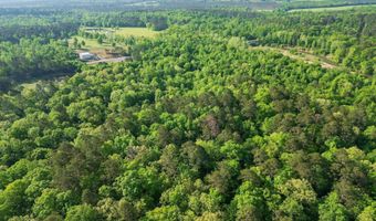 22 62 Acres Hwy 84, Amity, AR 71921