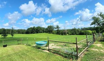 3350 SE Mt Pleasant Ln, Bogue Chitto, MS 39629