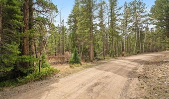 12190 Highway 7, Allenspark, CO 80510
