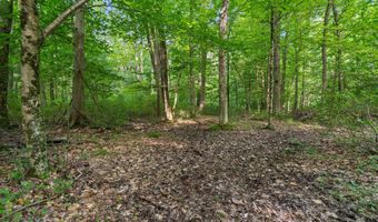 1125 39th St, Allegan, MI 49010