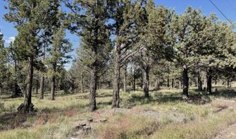 Hilltop Lane, Alturas, CA 96101