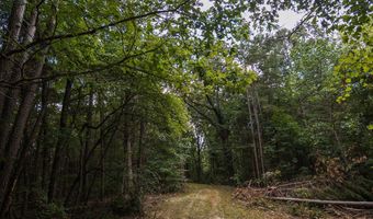 0 Brooksie Thompson Rd, Bath Springs, TN 38311
