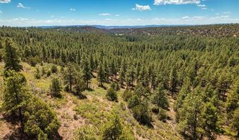 937 Hillcrest Rd, Bayfield, CO 81122