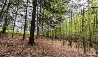 Stewart Road, Addison, NY 14801