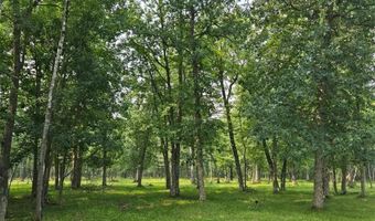 Tbd State 87 SW, Backus, MN 56435