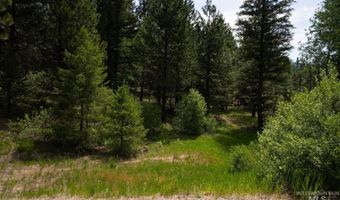 63 Price Loop, Cascade, ID 83611