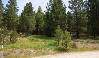 63 Price Loop, Cascade, ID 83611