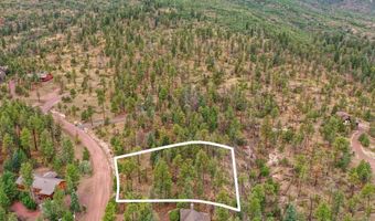 14 County Rd 2074, Alpine, AZ 85920