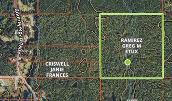 1336 County Road 180, Blue Springs, MS 38828