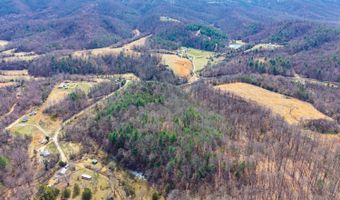 Puppy Creek, Amherst, VA 24521