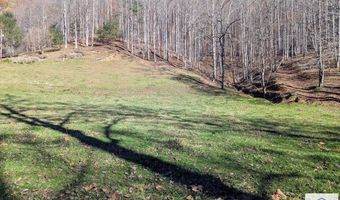 0 Jar Gap Ln, Ararat, VA 24053