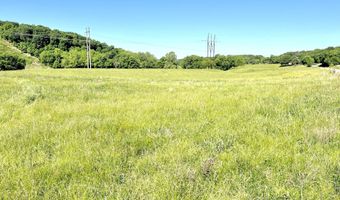 354 Thief Hollow Rd, Anderson, MO 64831