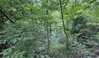 5 Lots Fortunato Dr, Baneberry, TN 37890