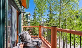 119 WOODS Dr, Breckenridge, CO 80424