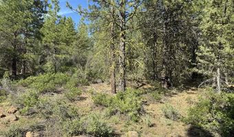 Thunderbear Road 46, Bonanza, OR 97623