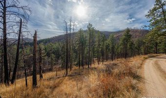 0 Cougar Cir Ct, Bellvue, CO 80512