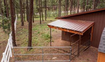 11 Whitetail Rd, Alpine, AZ 85920