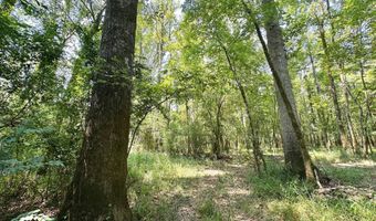 1 Champion Hill Rd, Bolton, MS 39041