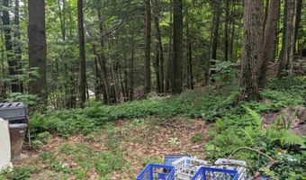 47 Green Acres Dr, Bristol, NH 03222