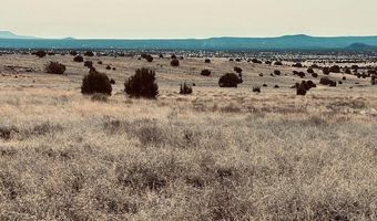 90 B Volcano Trl, Ash Fork, AZ 86320