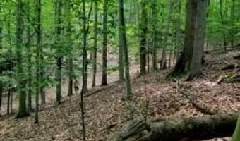 M22 Northwood Hwy, Arcadia, MI 49613