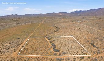308-22 451 Palm Dr, Chloride, AZ 86431