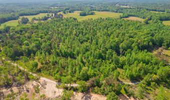 9402 Brooksie Thompson Rd, Bath Springs, TN 38311