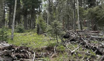 Lot 1419 Sacramento, Angel Fire, NM 87710