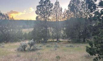 639 Pheasant Dr, Alturas, CA 96101