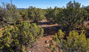 233 Co, Concho, AZ 85924