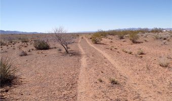308-22 395 N Palo Verde Dr, Chloride, AZ 86431